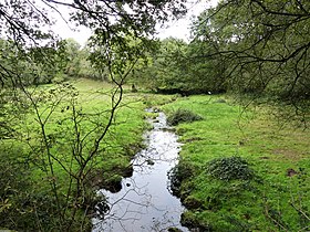 Entretien du ruisseau du Grand Rieu