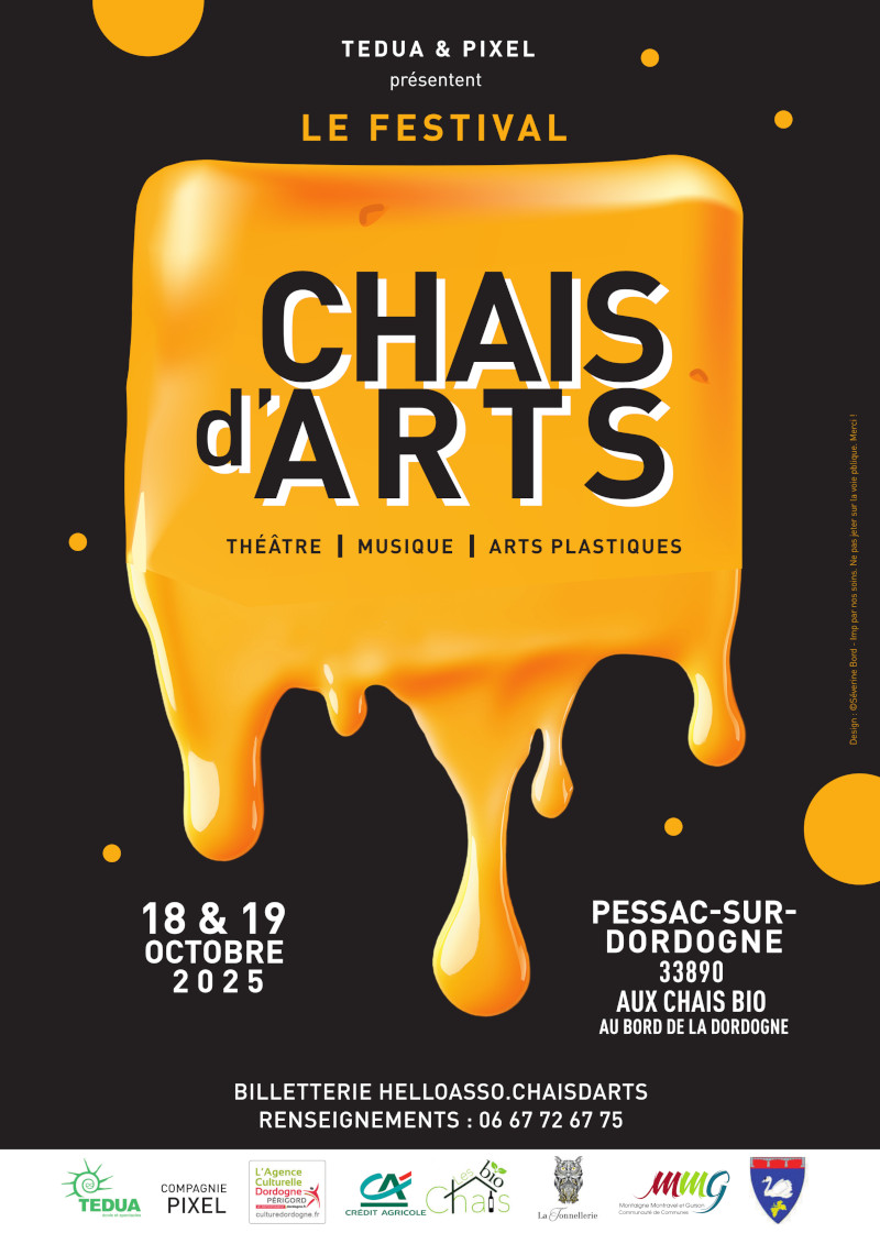 Festival chais d'arts.