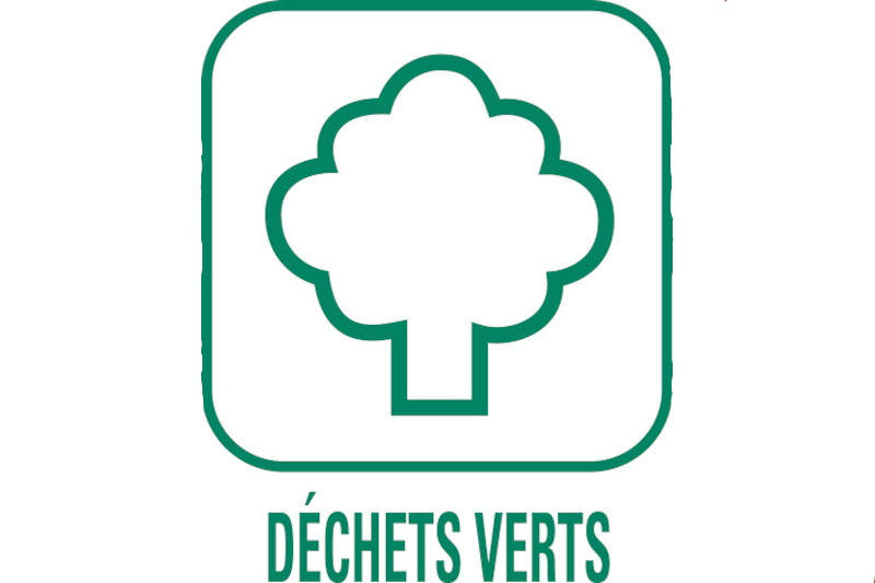 Brûlage des déchets