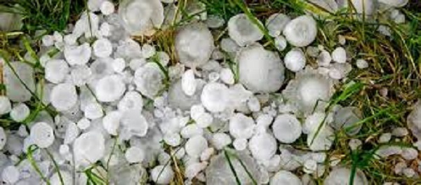 Indemnisation des pertes de récolte.