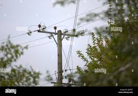 Elagage des arbres, réseau électricité.