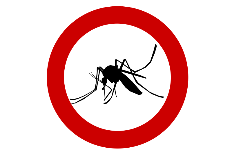 L'info Agence Régionale de Santé sur le moustique tigre