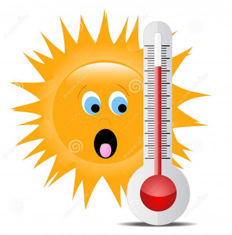Conseils canicule