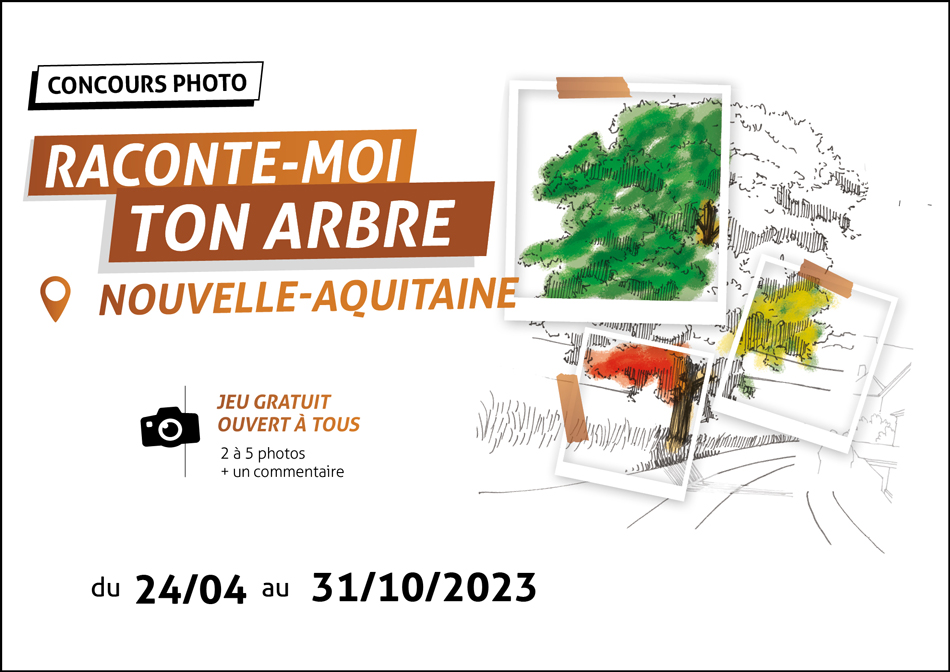 Concours photo 